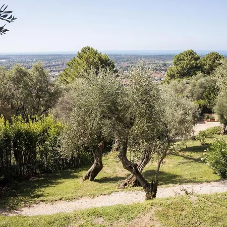 Villa Villa Pietrasanta *